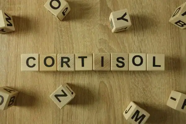 The Hidden Connection: How Stress Shapes Your Fitness and Body Composition 2 Image saying "Cortisol" and how stress Bedfordshire impacts your wellbeing and bodies shape